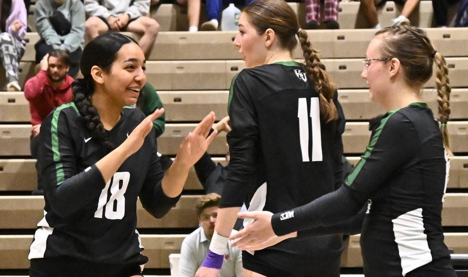 Volleyball Placed Third at Conference Championships