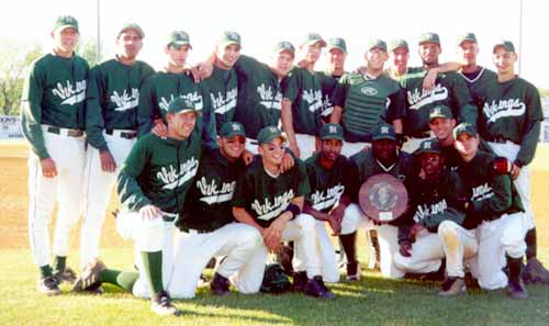 Image of Men's Baseball Team